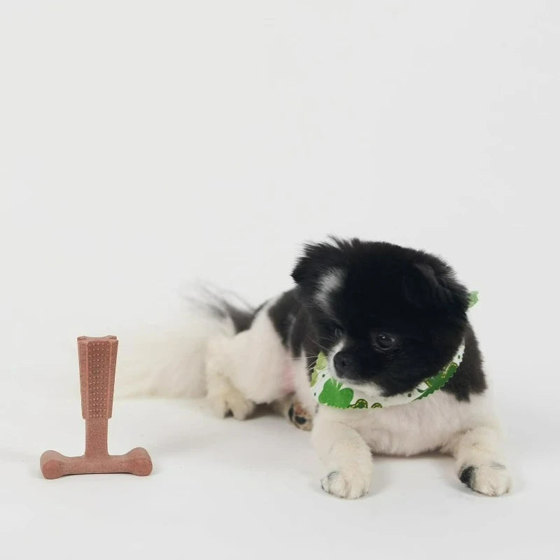 T Bone Dog Chew Toy for Moderate to Aggressive Chewers