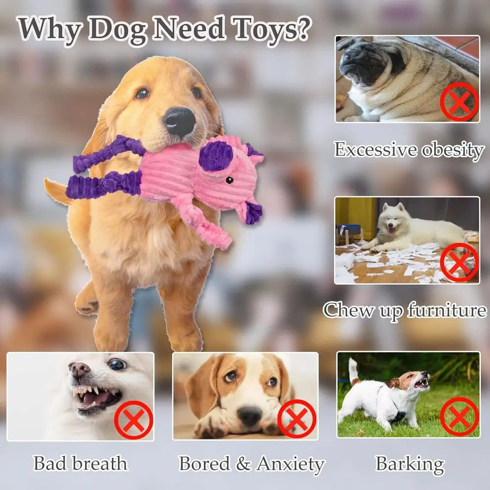 5 Pack Tough Squeaky Plush Dog Toys Assorted Animals Bundle