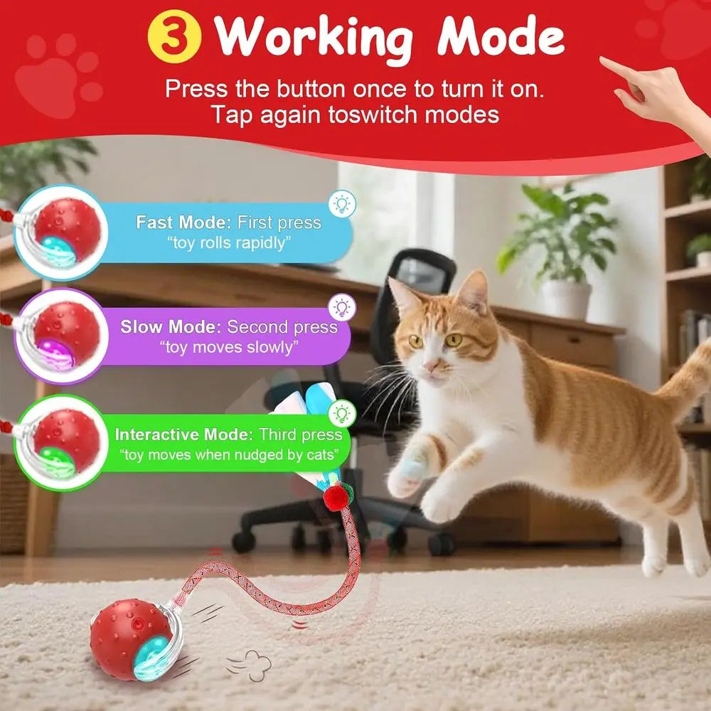 Interactive Cat Toy Ball With Auto Rolling And Bird Sounds