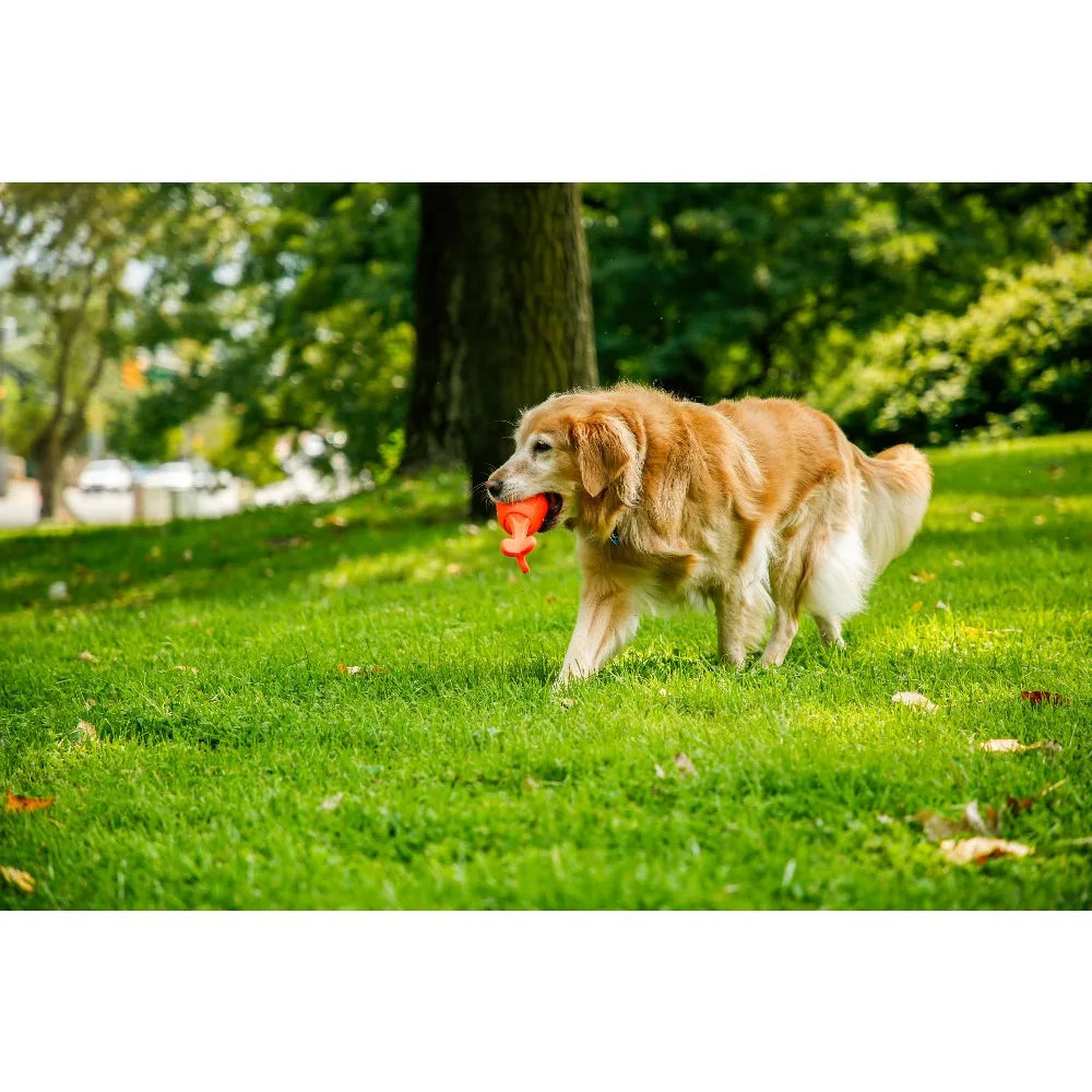 Hartz Dura Play Bacon Scented Latex Rocket Dog Toy