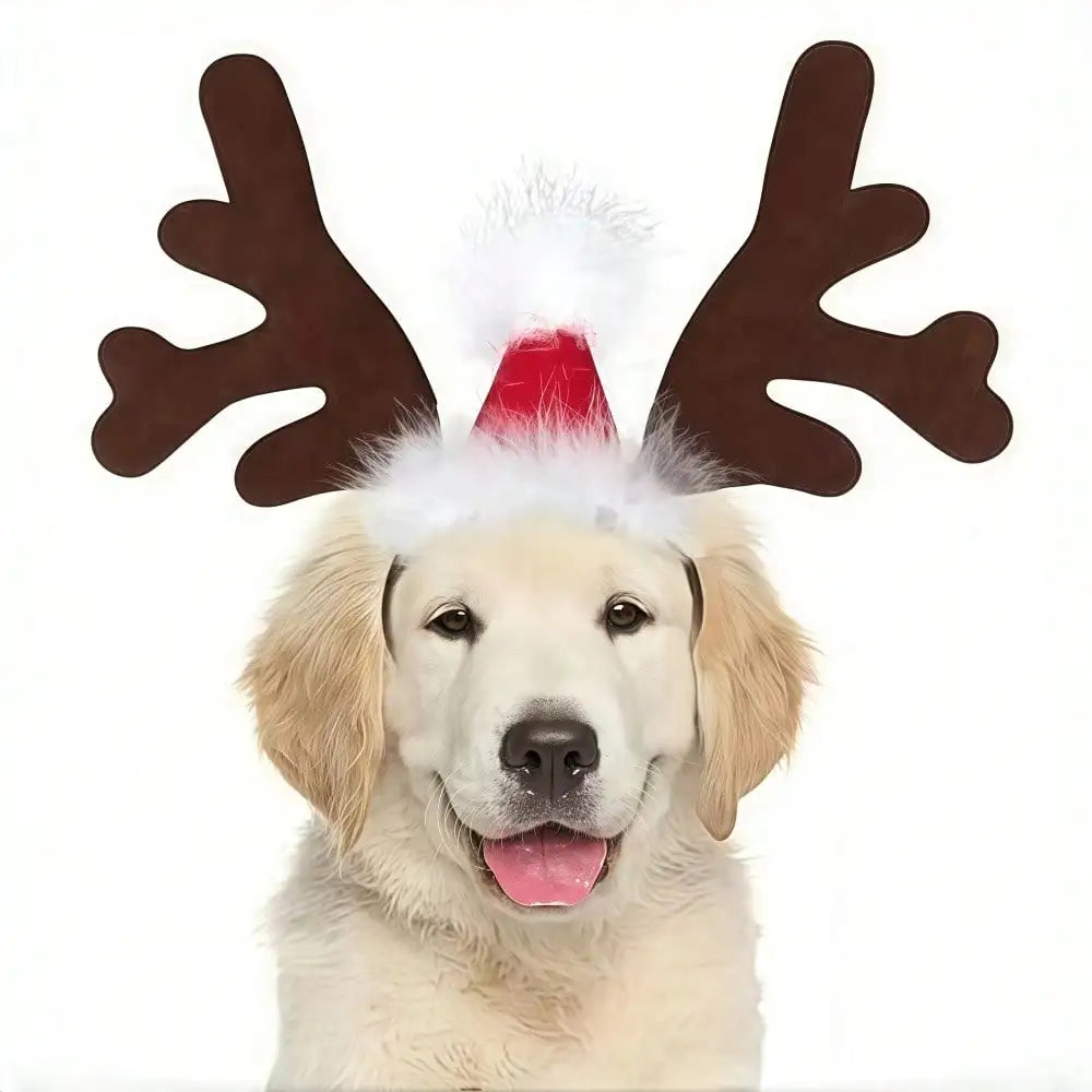 Halloween Ghost Pet Cape With Reindeer Antlers Headband Set
