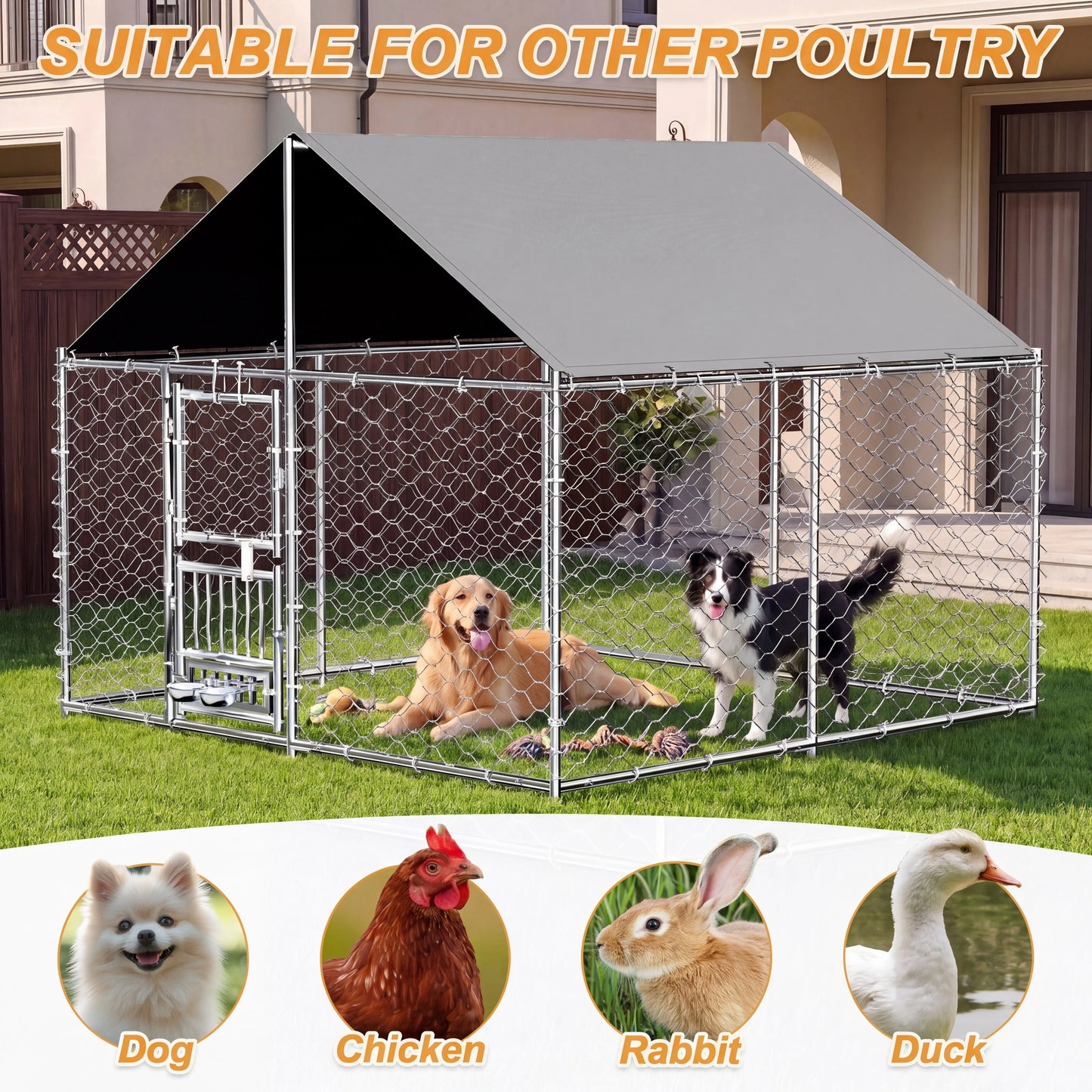 Heavy Duty Large Outdoor Dog Kennel Featuring Dual Open Doors