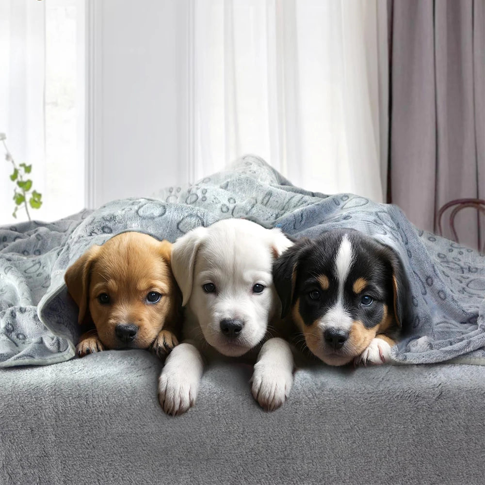Ultra-Soft Paw Print Dog Blankets, Cozy, Machine Washable