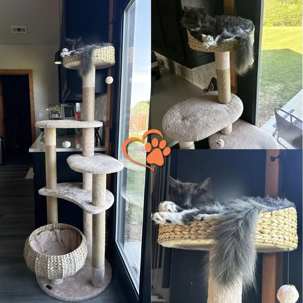 Multilevel Cat Tree Tower With Jute Scratching Posts And Bed