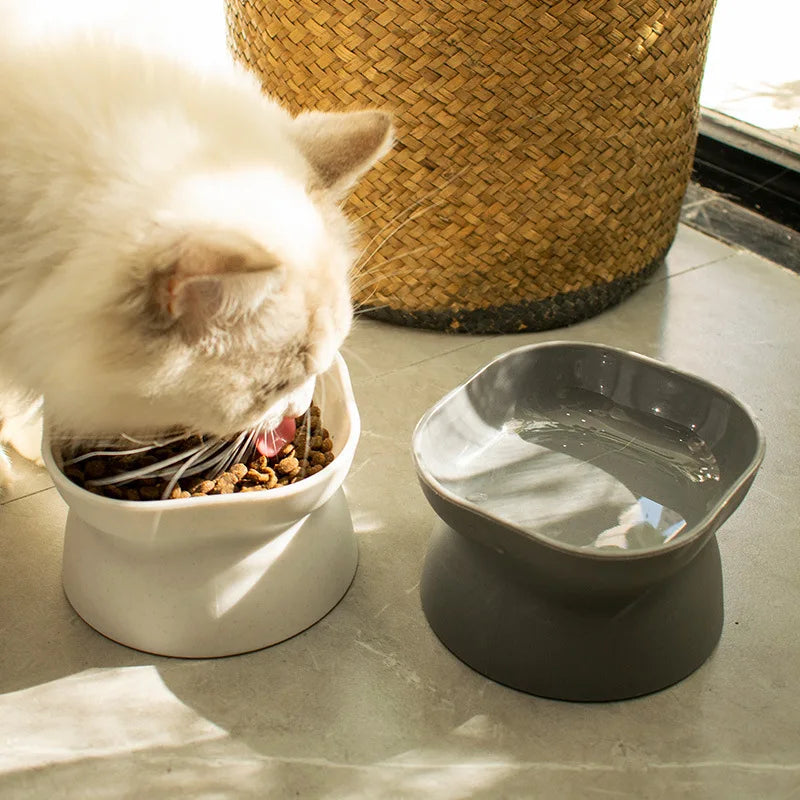 Plastic Elevated Cat And Dog Feeding Bowls For Pets