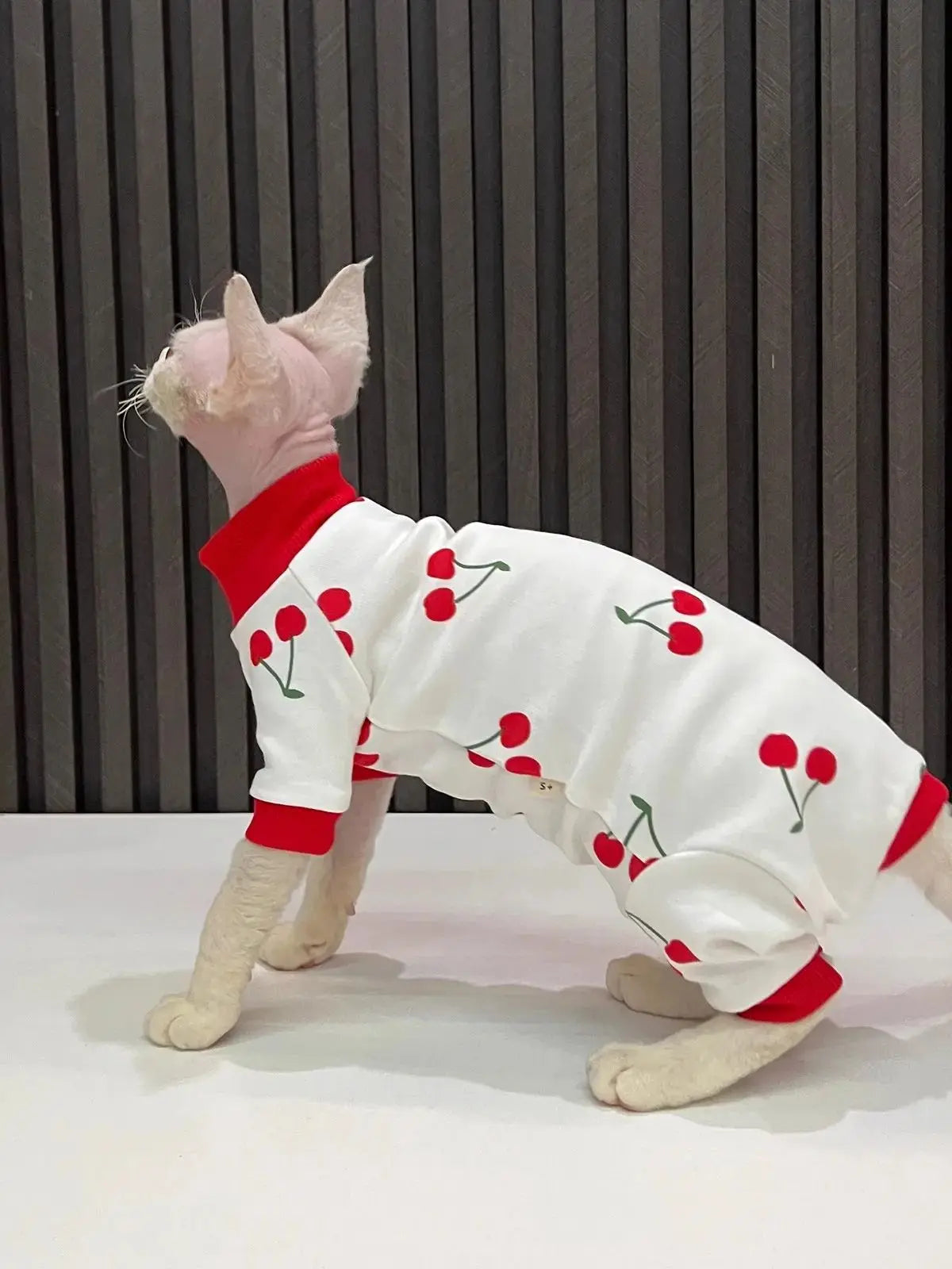 Cartoon Cherry Print Cat Vest For Hairless Sphynx Cats