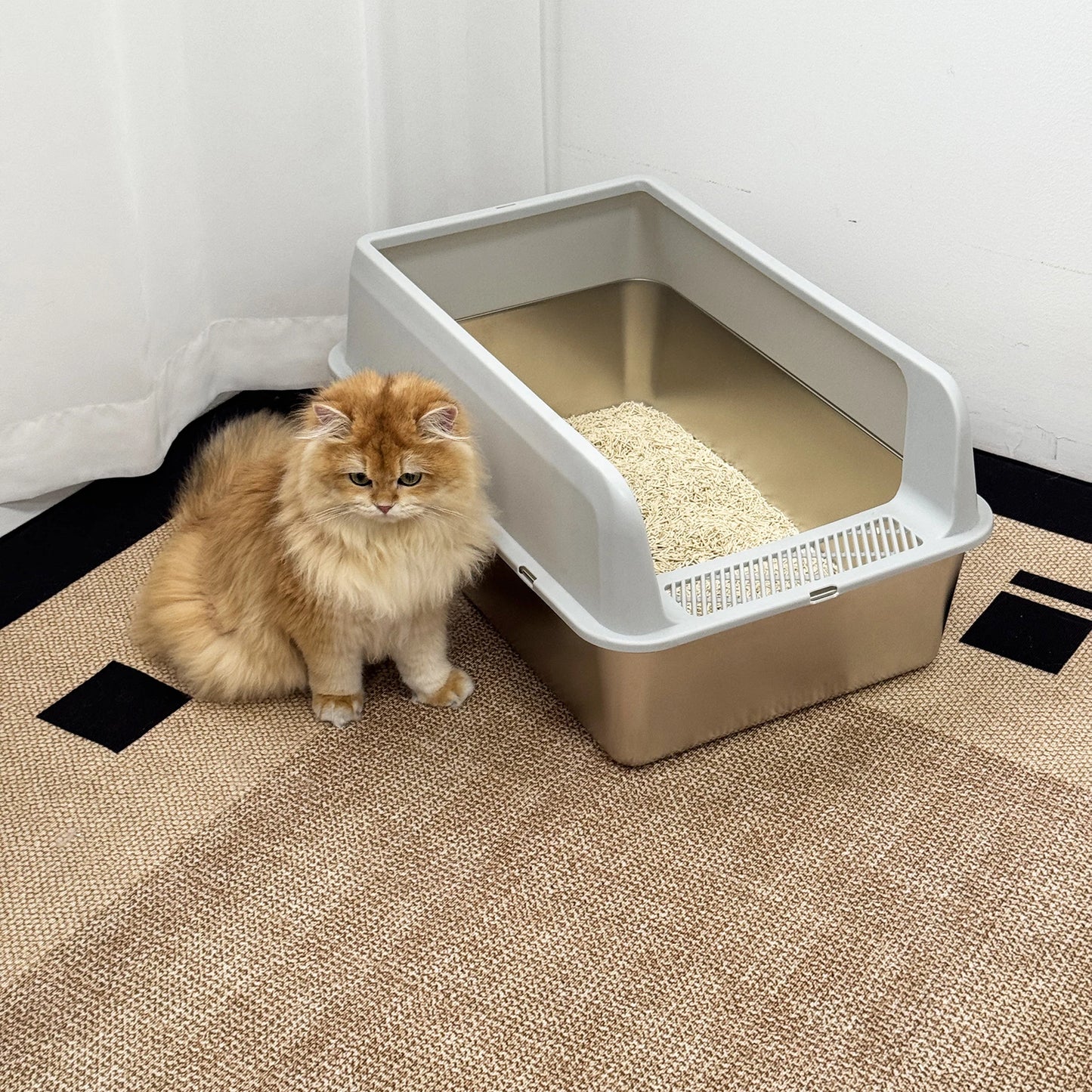 Stainless Steel Cat Litter Box High Sided Semi Open
