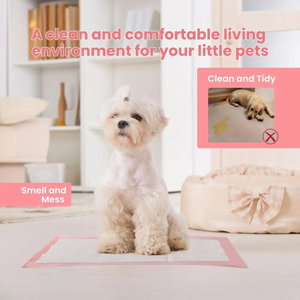 Pet Toilet Training Pads 100 Count Ultra Absorbent Quick Dry Leak Proof