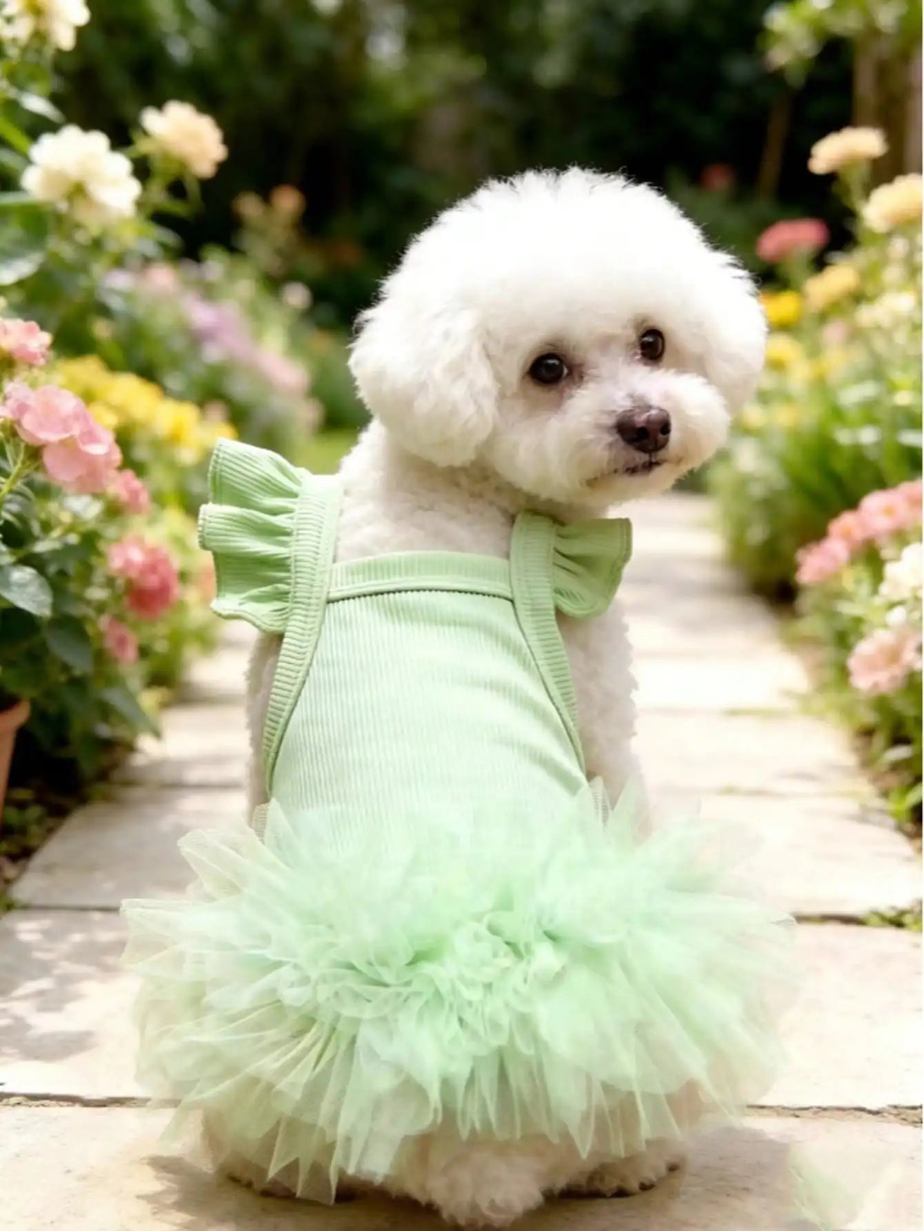 Elegant Ruffled Sleeve Princess Dress For Small Dogs And Cats
