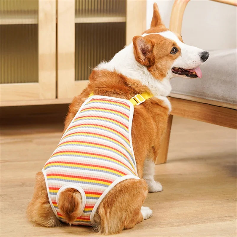 Adjustable Dog Underwear With Shoulder Strap For French Bulldog Pug Schnauzer