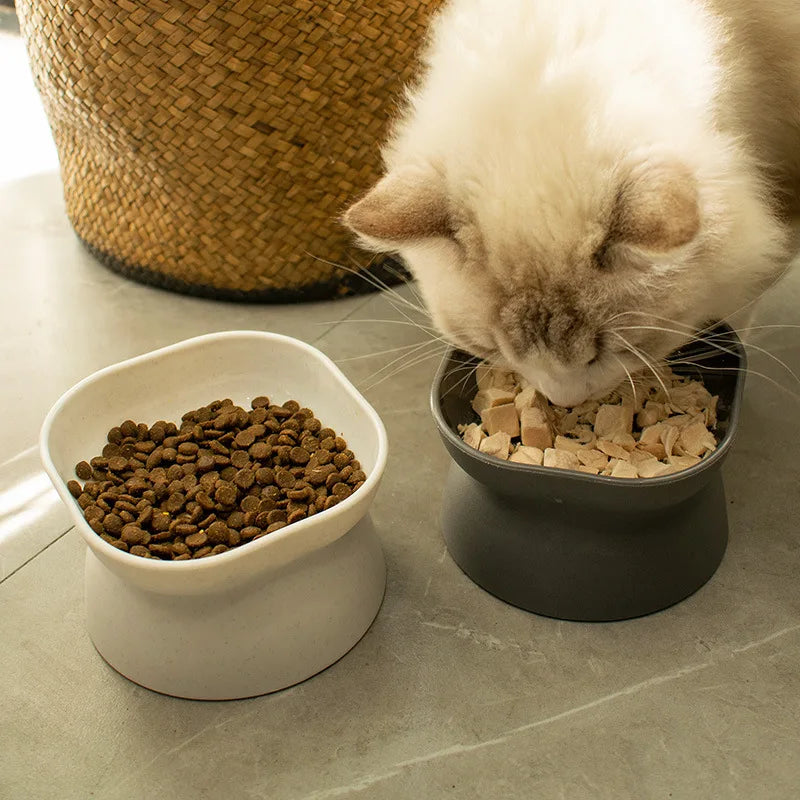 Plastic Elevated Cat And Dog Feeding Bowls For Pets