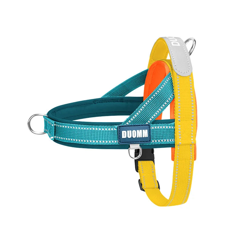 Dog Harness Leash Set For Pets Outdoor Adjustable Comfort