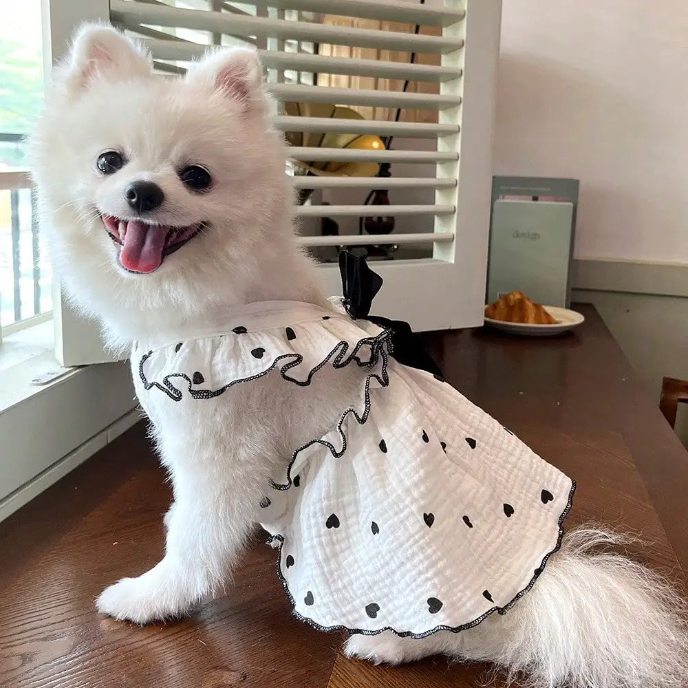 Pet Dresses For Spring And Summer Love Themed Dog Outfits
