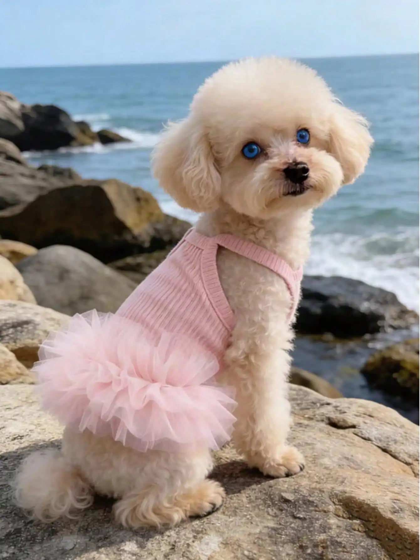 Elegant Sleeveless Ballet Tulle Princess Pet Outfit For Dogs