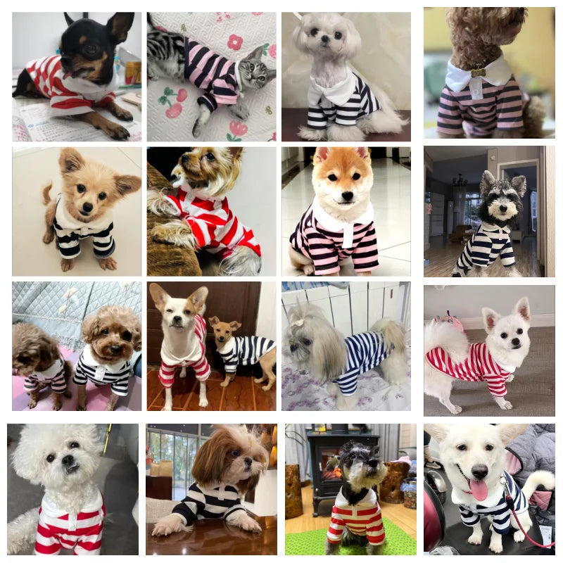 Summer Polo Shirt for Dogs Striped Cooling Vest Small Medium