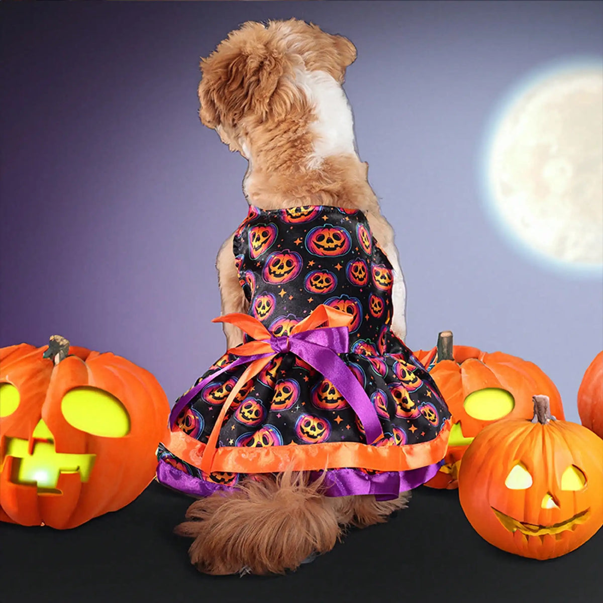 Pet Dog Halloween Costume Soft Pumpkin Skull Print Bowknot Dress