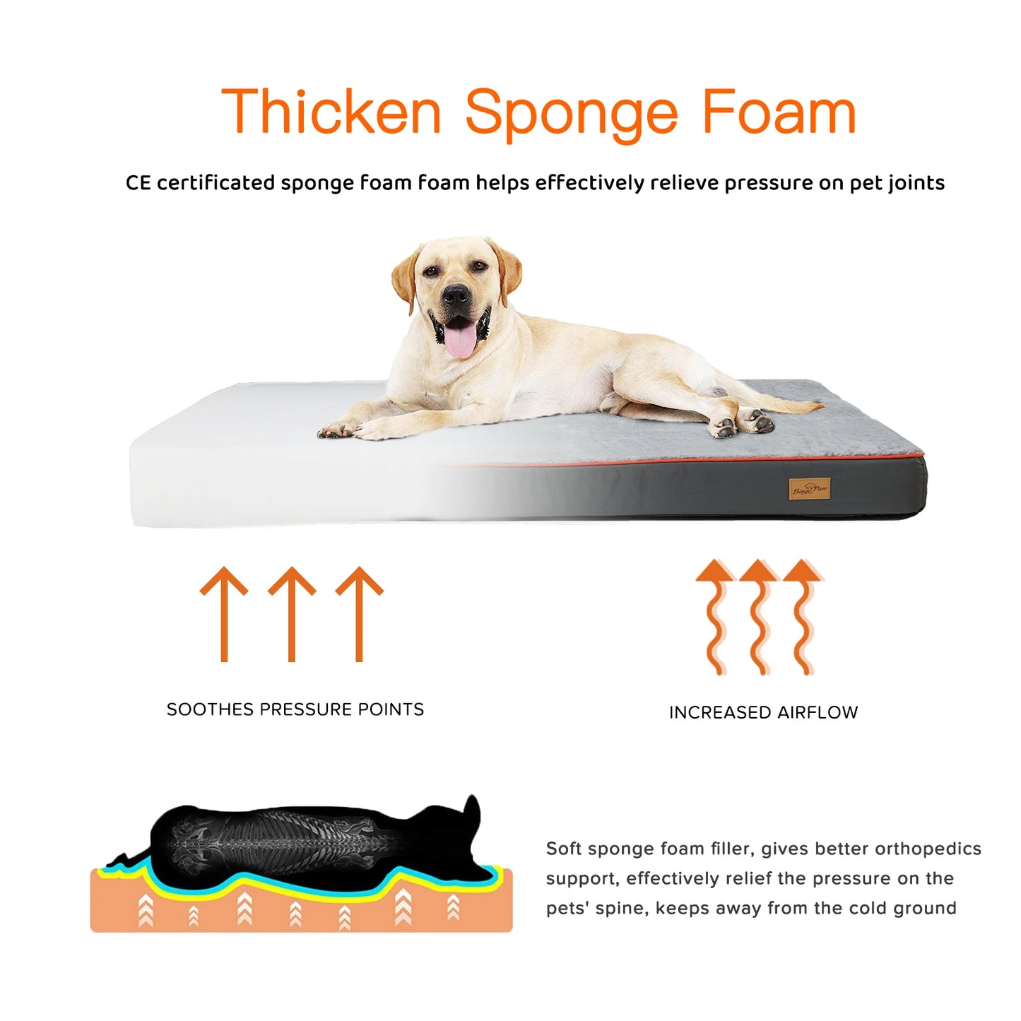 BINGOPAW Orthopedic Dog Bed Foam Cushion With Washable Cover