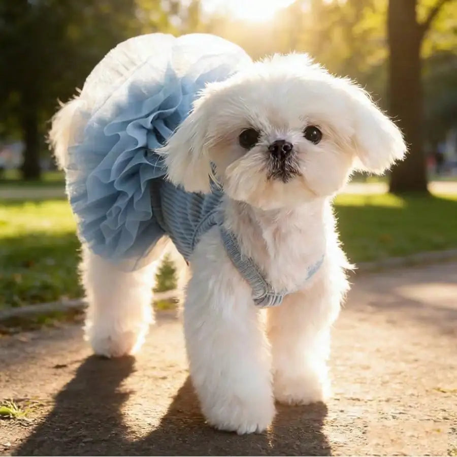 Elegant Sleeveless Ballet Tulle Princess Pet Outfit For Dogs