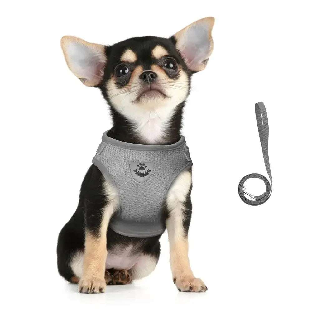 CAIBAN Cat Harness Leash Set Reflective Escape Proof Nylon Vest