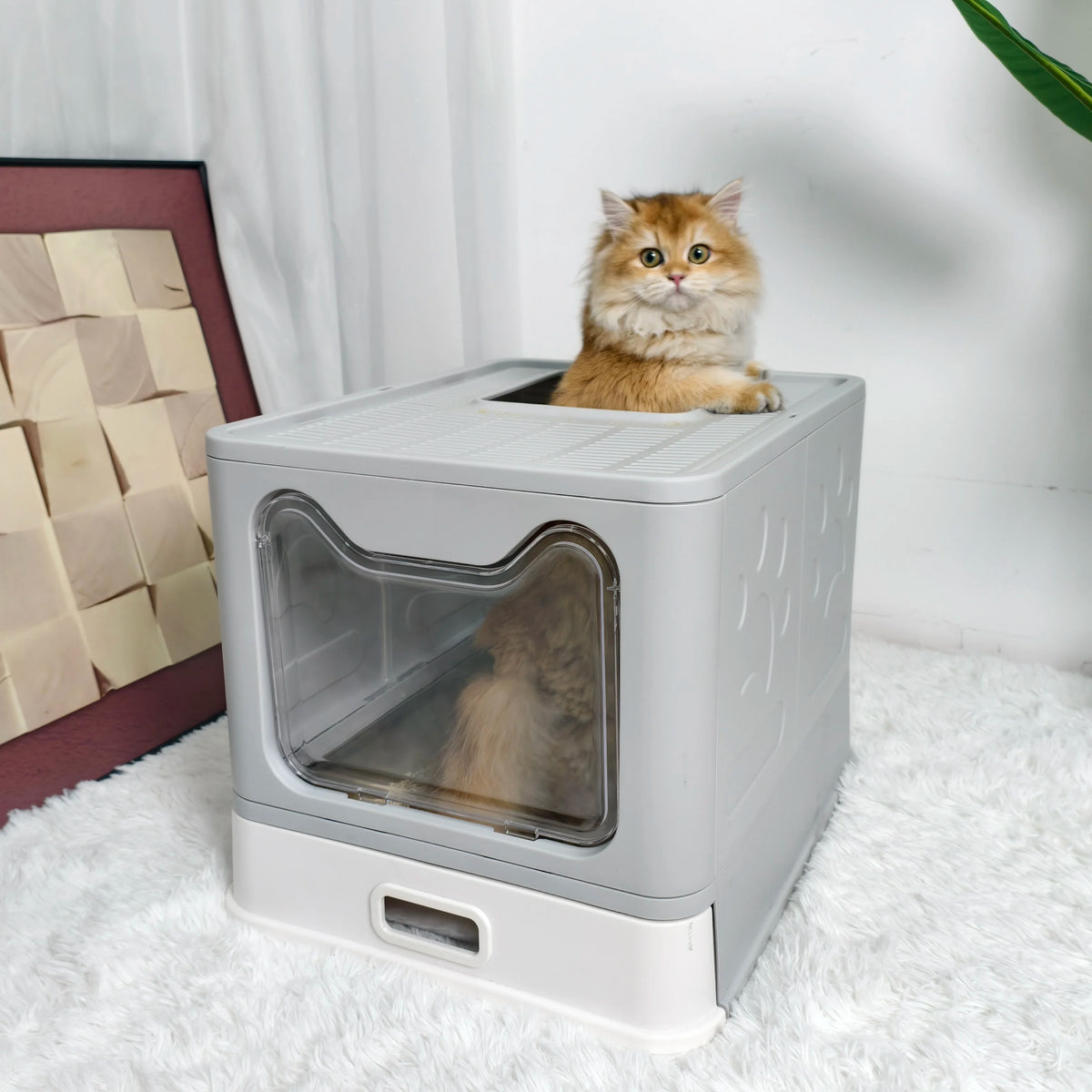 Large Front Entry Top Exit Cat Litter Box With Lid And Scoop