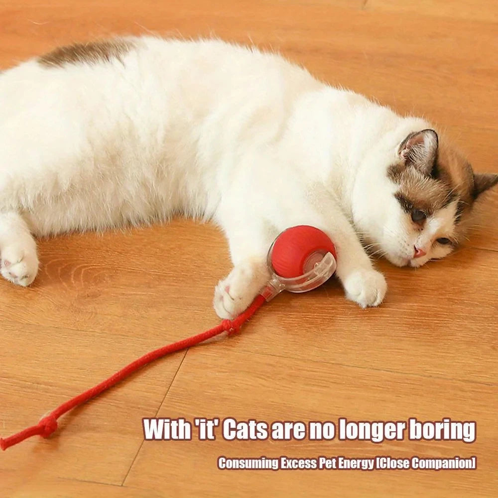 Automatic Rechargeable Cat Rolling Ball Toy With Rope Tail