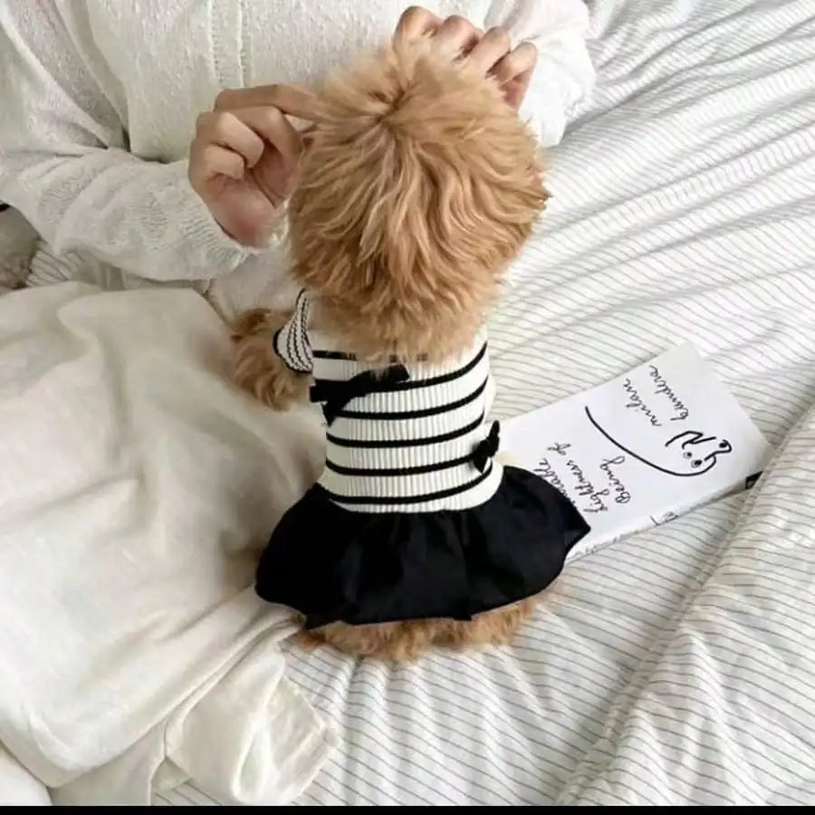 Dog Striped Casual Dress Lightweight Airy Fabric Pet Clothes