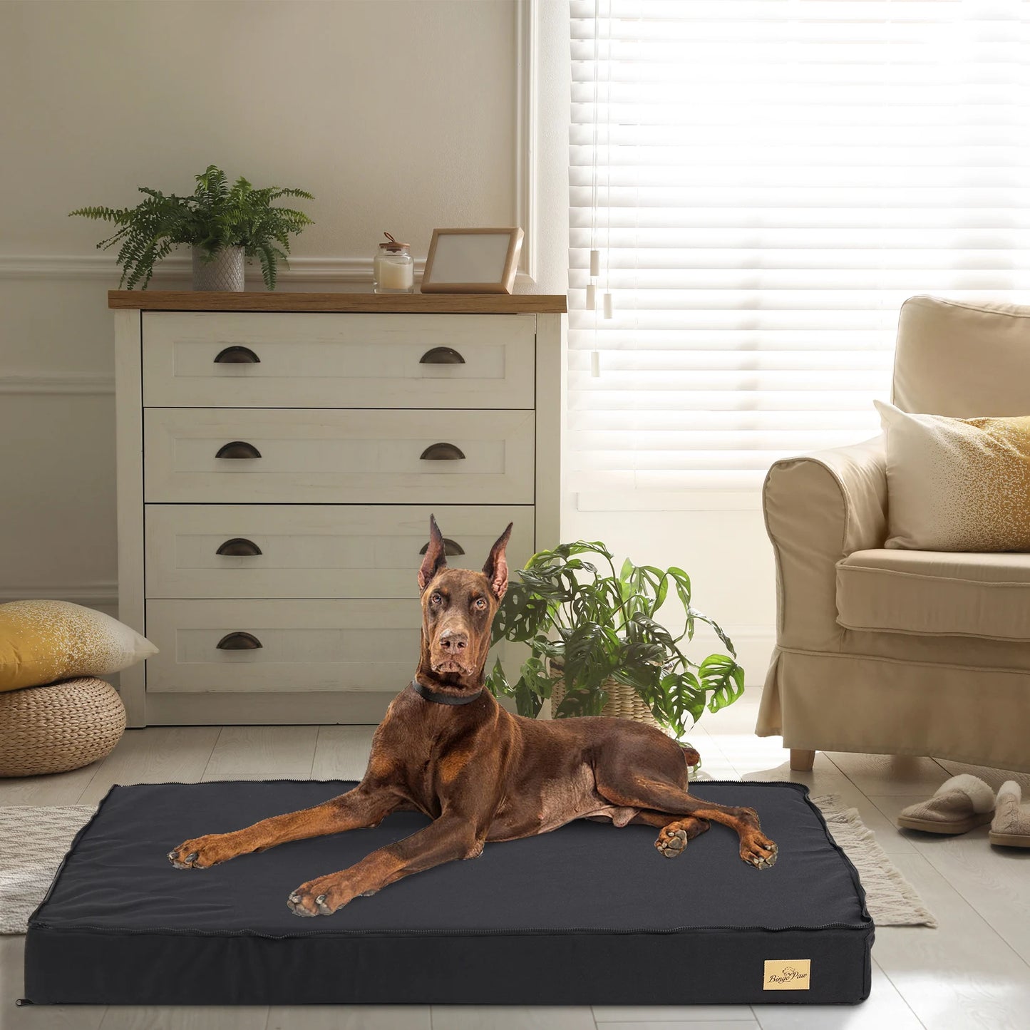 BINGOPAW Orthopedic Washable Dog Bed With Removable Cover