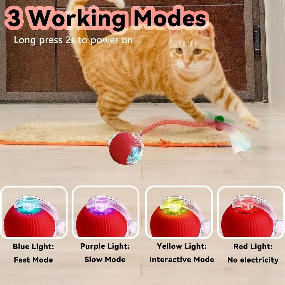 Automatic Interactive Cat Toy With Elastic Mesh Tail And Ball