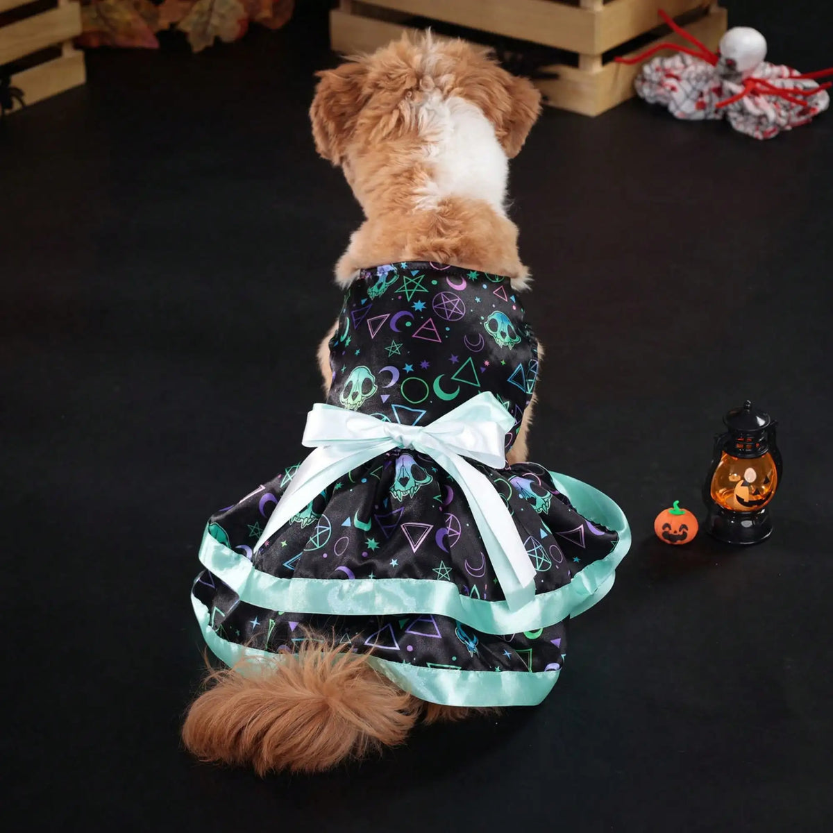 Soft Pumpkin Skull Print Bowknot Dog Halloween Costume