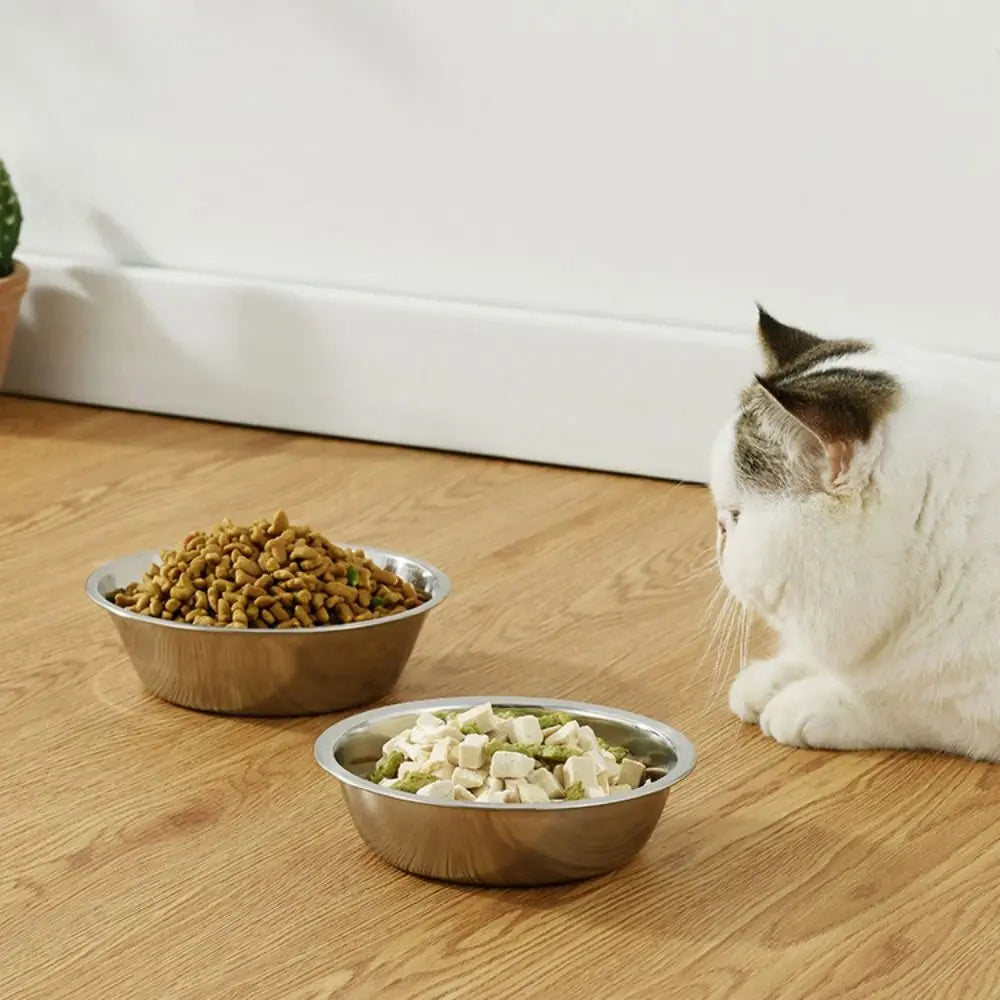 Stainless Steel Pet Bowl Water Feeder For Dogs And Cats