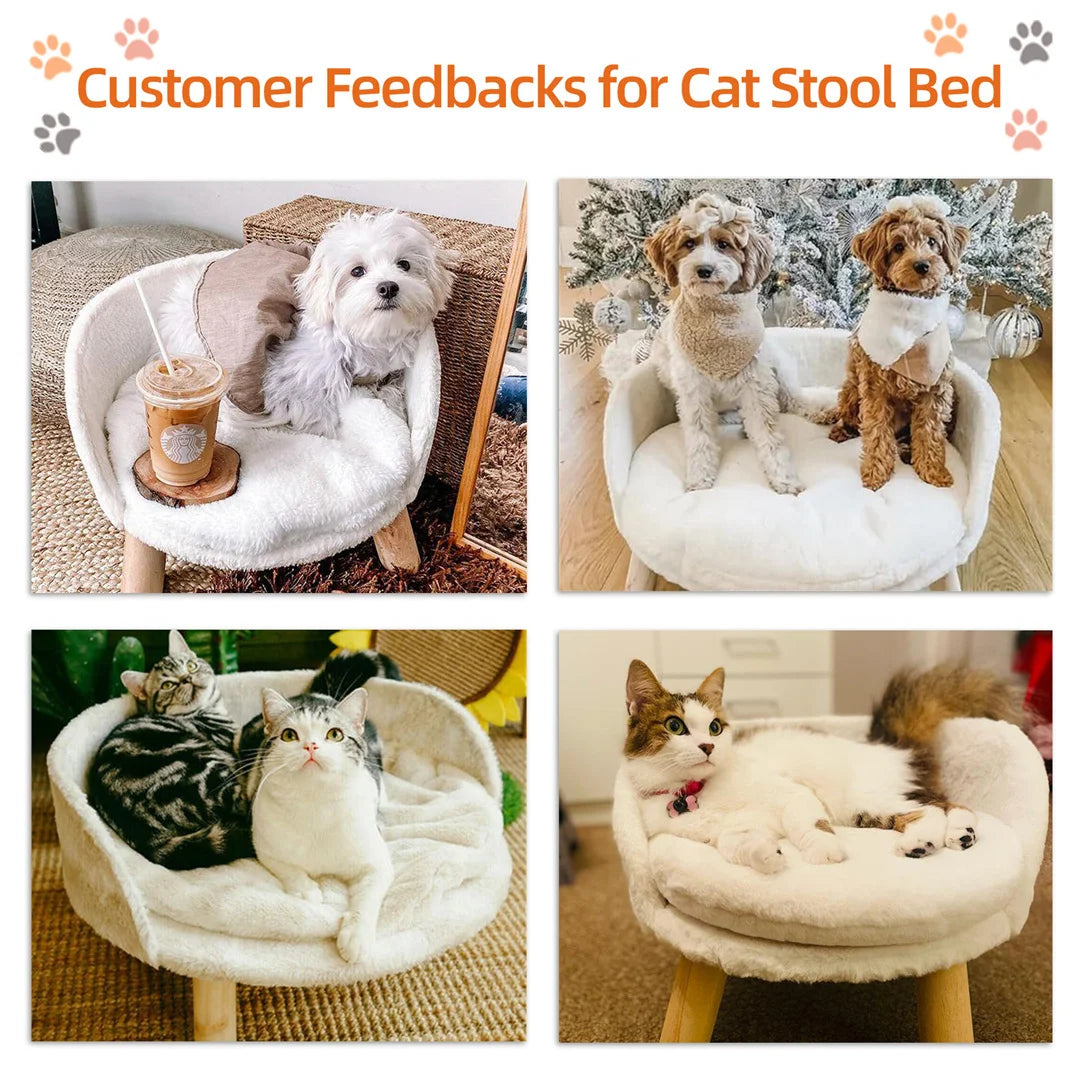 BINGOPAW Luxury Plush Cat Bed Nest Chair With Wood Legs