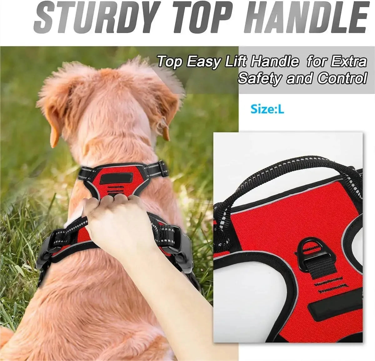 Dog Harness Leash Set For All Breeds Collars Vests Accessories
