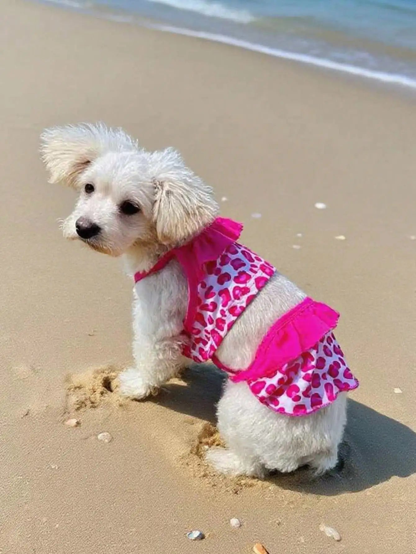 Pet Dog Lace Dress Camisole For Daily Wear And Photoshoots