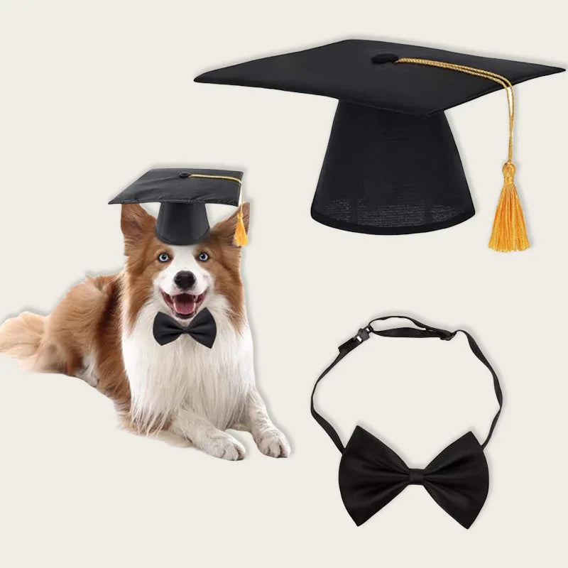 Pet Graduation Cap Mortarboard for Cats and Small Dogs