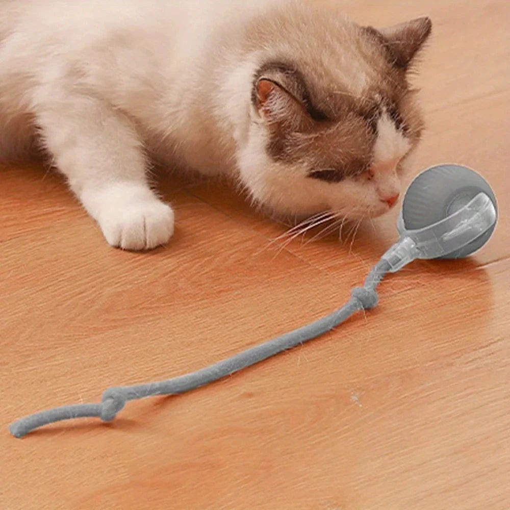 Interactive LED Cat Toy Ball With Adjustable Speed Rope Tail