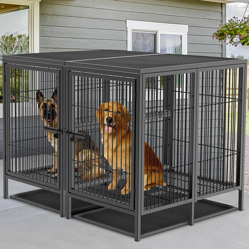 BORWART Heavy Duty Two Dog Crate With Removable Divider Panel