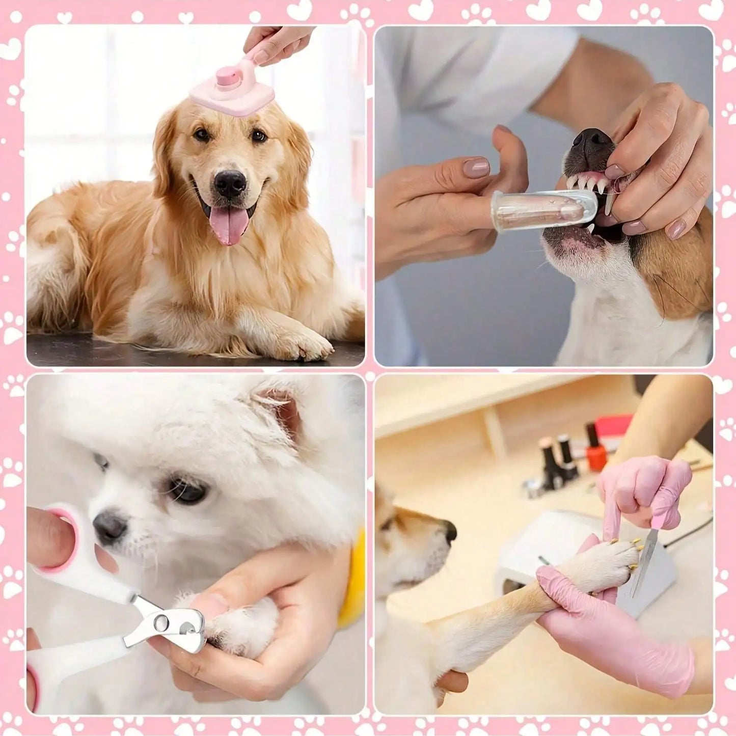 Pet Grooming Kit Nail Clippers Flea Comb And Dental Toothbrush