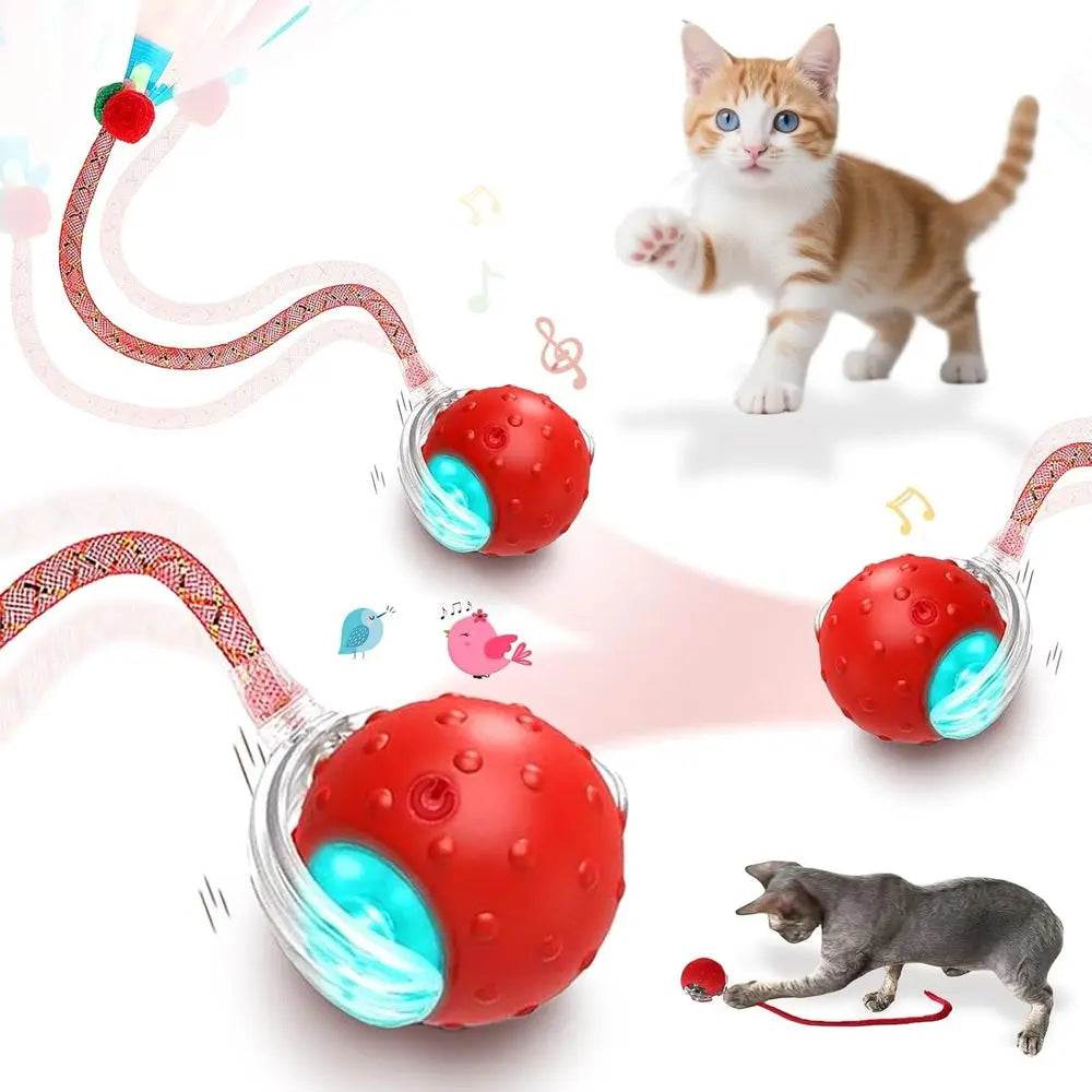 Interactive Cat Toy Ball With Auto Rolling And Bird Sounds