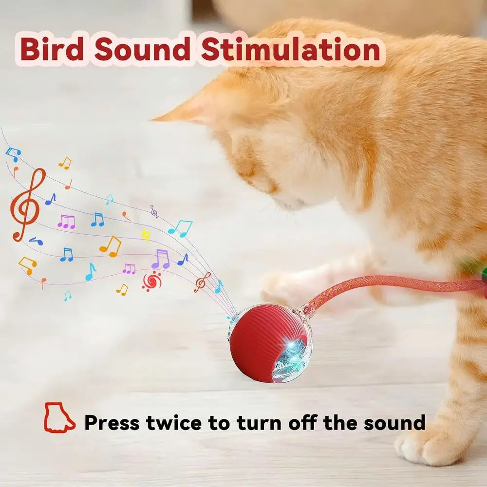 Automatic Interactive Cat Toy With Elastic Mesh Tail And Ball