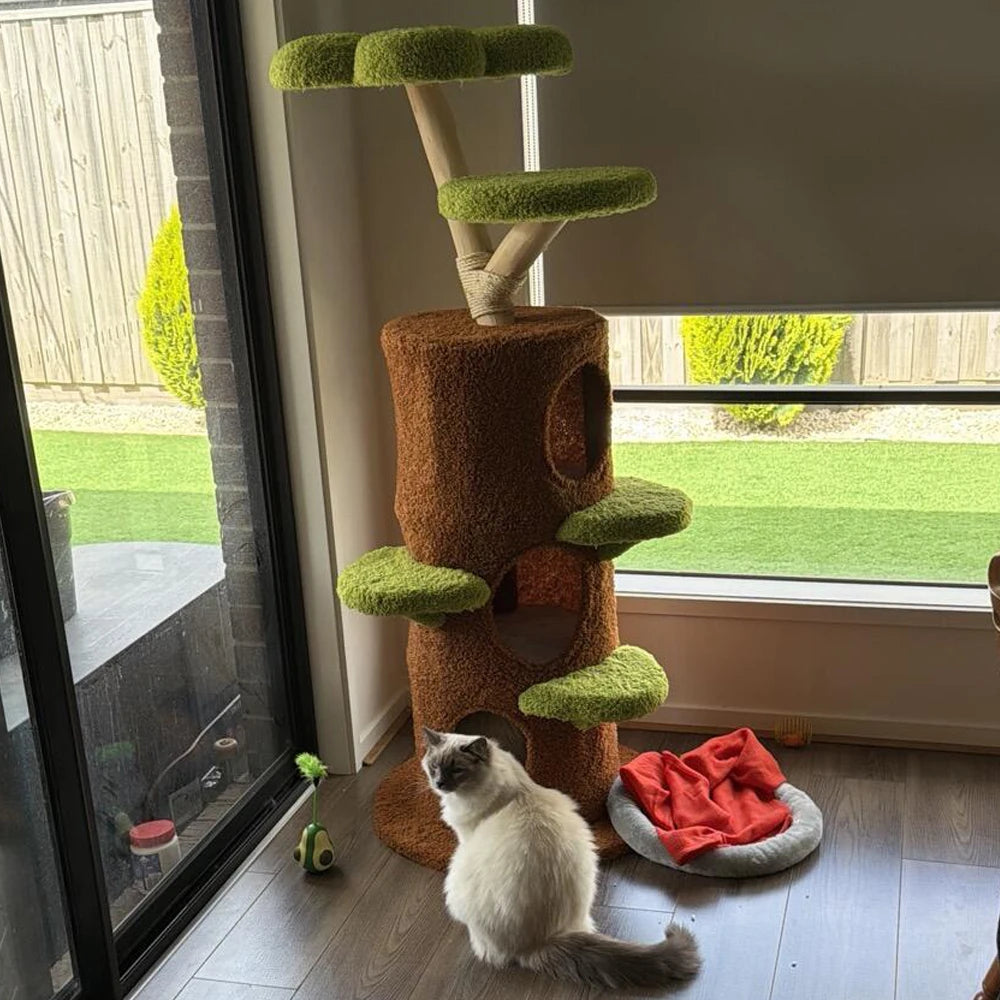 BORWART Luxury Wood Cat Tree Tower With Condo Bed And Scratching Post
