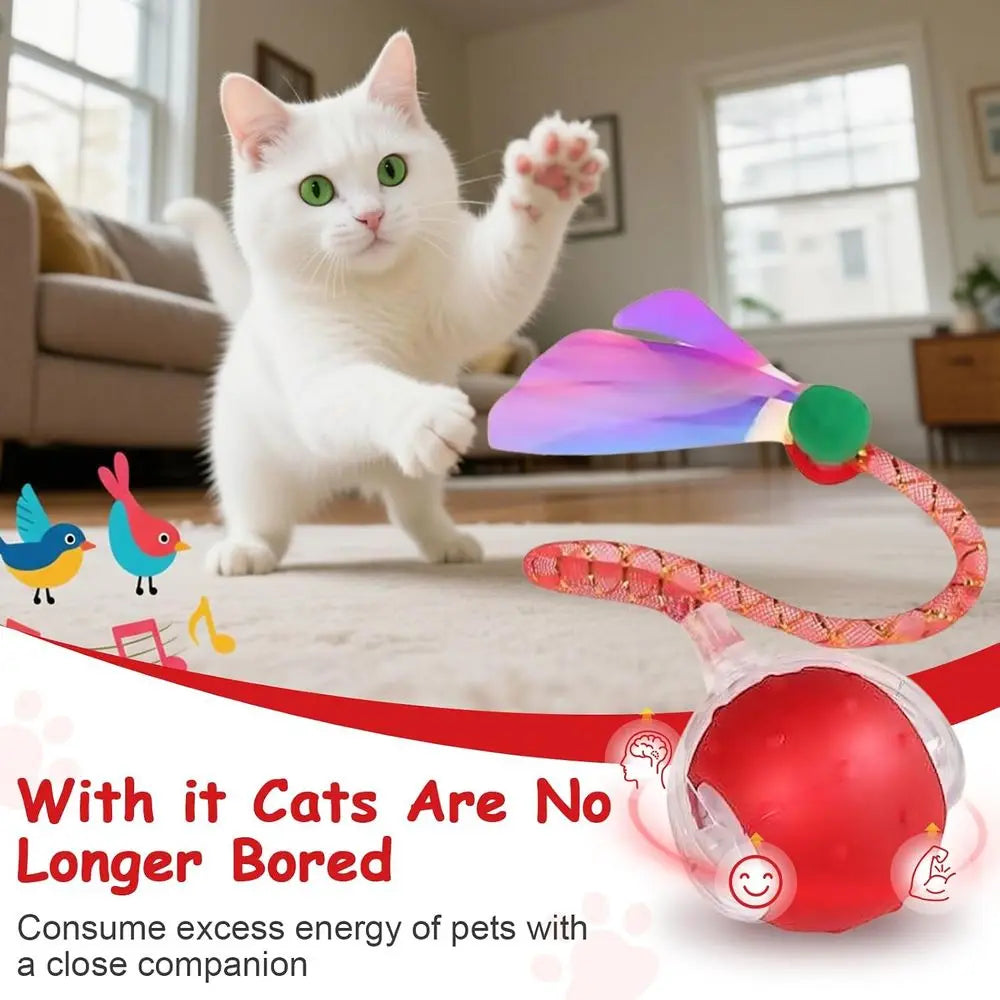 Interactive Cat Toy Ball With Auto Rolling And Bird Sounds