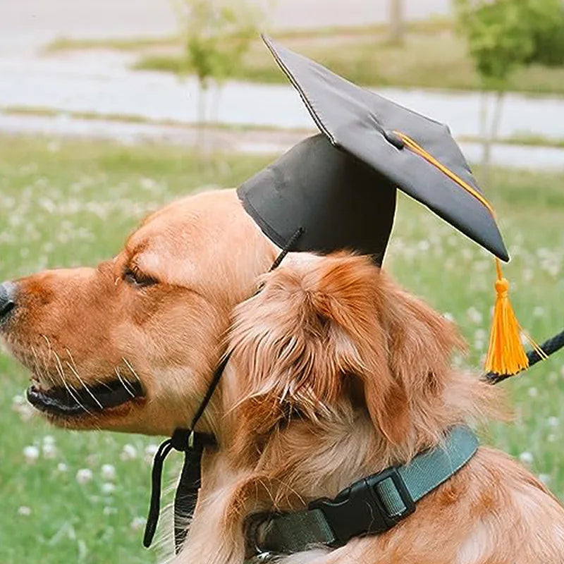 Pet Graduation Cap Mortarboard for Cats and Small Dogs