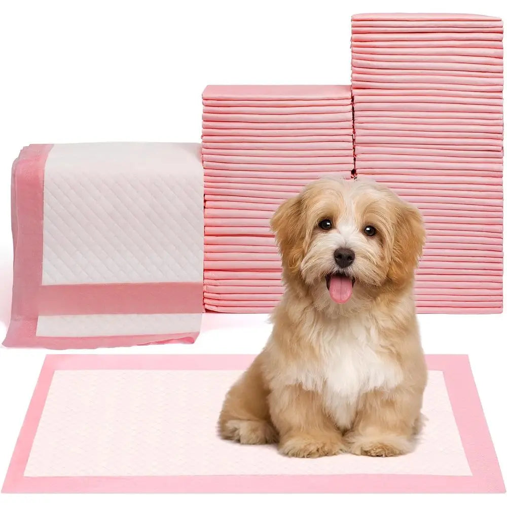 Pet Toilet Training Pads 100 Count Ultra Absorbent Quick Dry Leak Proof