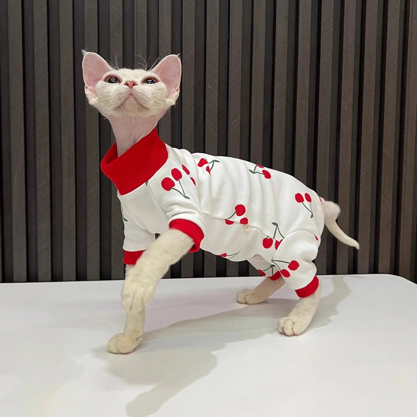 Cartoon Cherry Print Cat Vest For Hairless Sphynx Cats