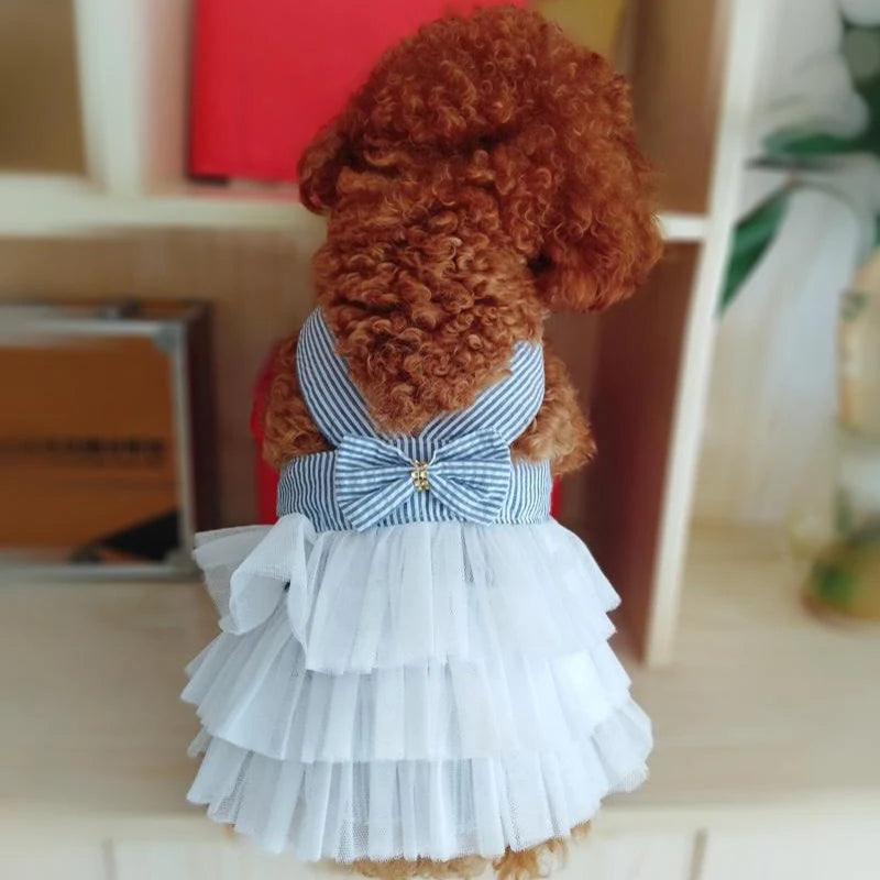 Miss Doggy Summer Lace Dress Striped Pet Clothing For Dogs