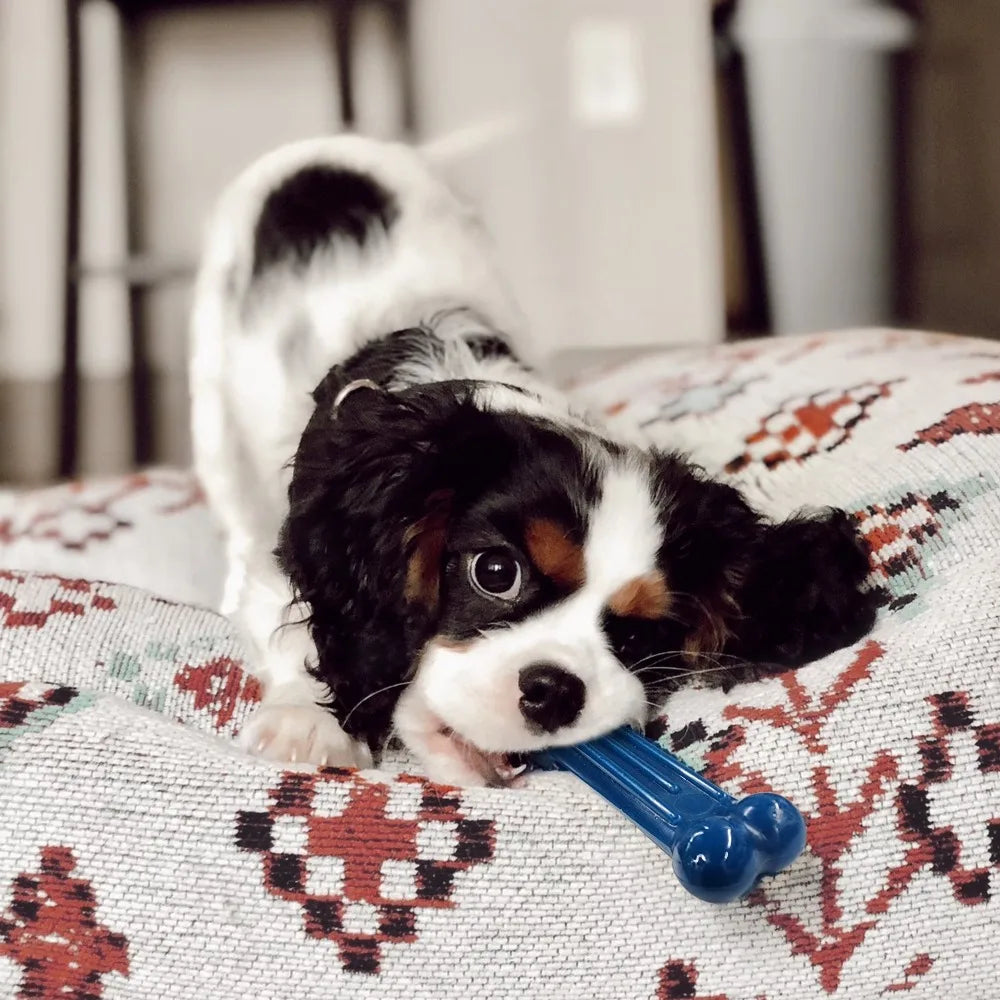 Durable Small Dog Chew Toys for Aggressive Chewers and Teething