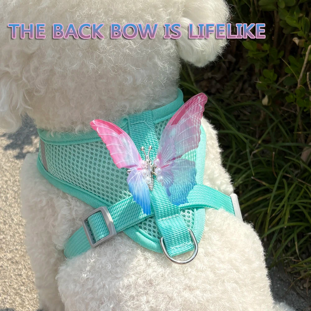 Breathable Cat Harness Set Butterfly Design With Leash