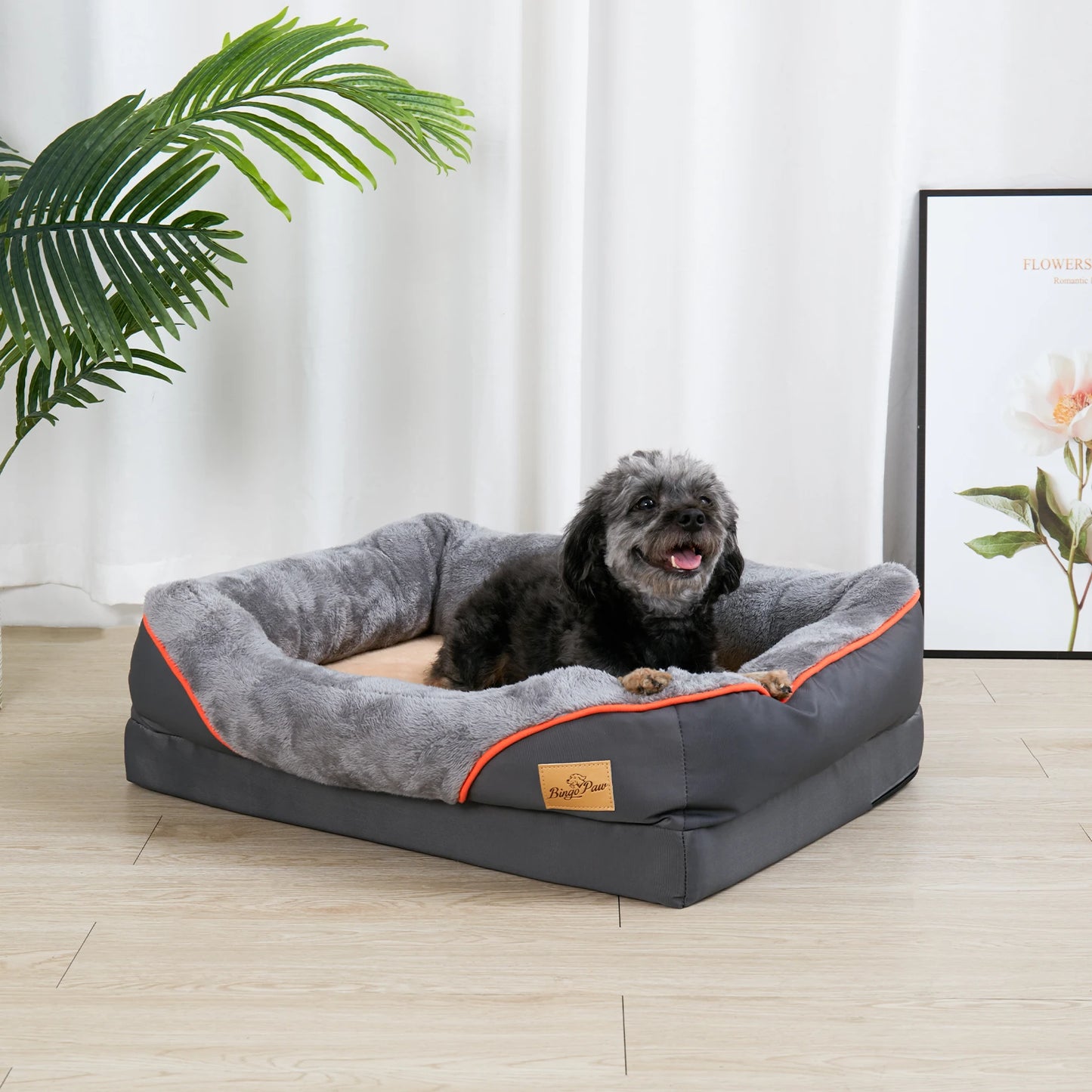 BINGOPAW Orthopedic Dog Bed With Foam Support And Removable Cover