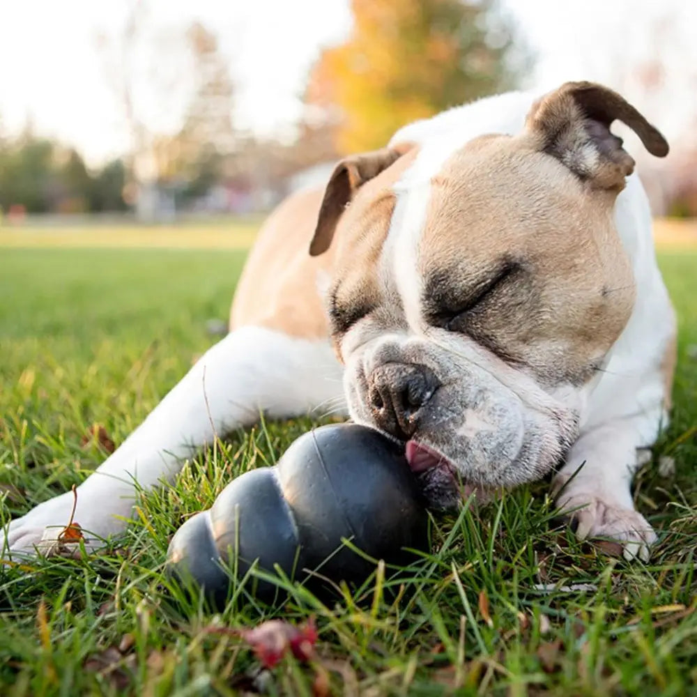 Extreme Dog Chew Toy Durable Natural Rubber for Aggressive Chewers