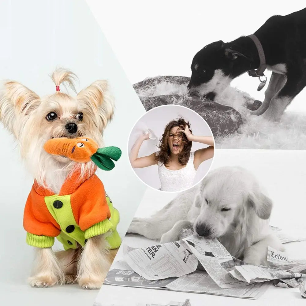 12Pack Squeaky Plush Dog Toys Carrying Bag For Small Dogs